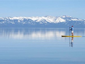 Paddle Board Rentals